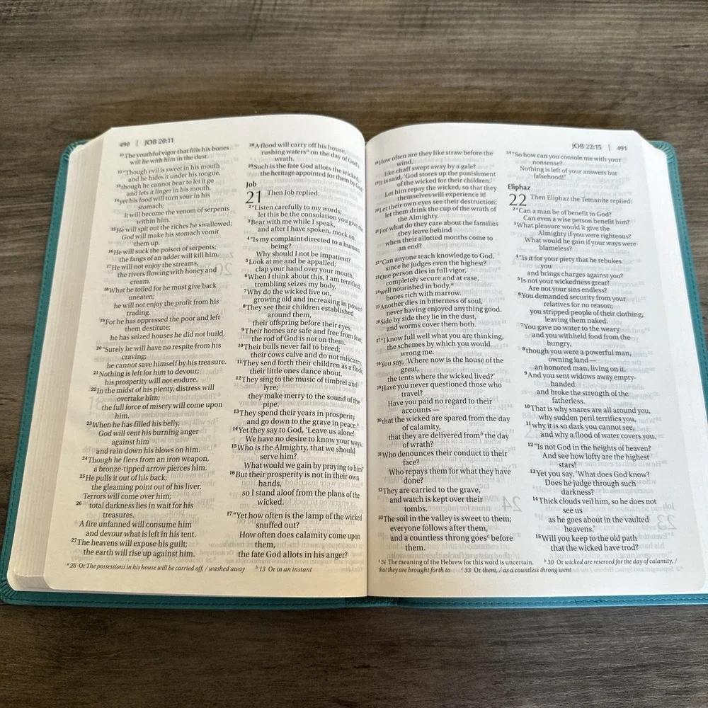 Zondervan Holy Bible Thinline Teal NIV New International Version Large Print